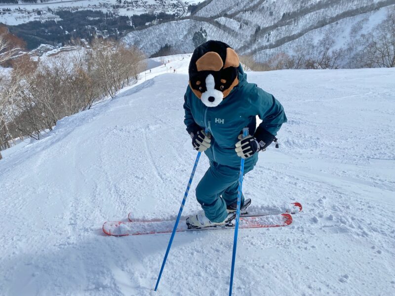 Hakuba 47, Japan. Image © PlanetSKI